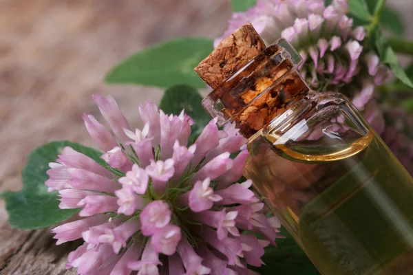 Clover extract in a bottle nd flowers macro horizontal — Stock Photo, Image