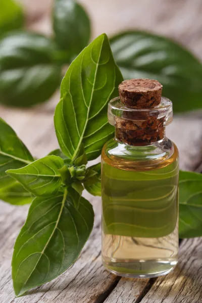 Olie met basilicum Mijnwezen van dichtbij in de fles verticale — Stockfoto