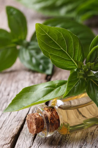 Aceite fragante con albahaca primer plano vertical —  Fotos de Stock