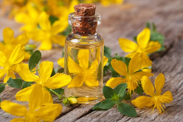 Verhelpen van st. john's wort bloem in een glazen fles — Stockfoto