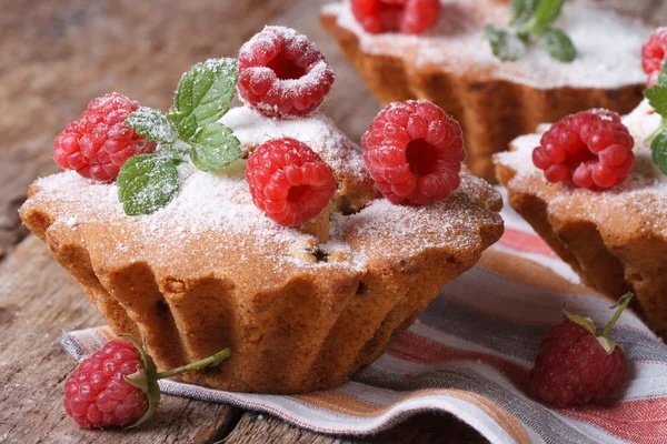 Muffins with raspberries, powdered with sugar horizontal — Stock Photo, Image