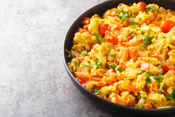 Bhurji Gewürzte Indische Rührei Nahaufnahme Teller Auf Dem Tisch Horizonta — Stockfoto