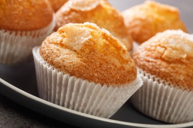 Bir yığın magdalena 'nın yakın çekimi masadaki tipik İspanyol sade kekleri. Yatay