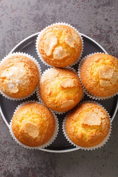 Magdalena Spanyol Adalah Lemon Fluffy Tinggi Rasa Muffin Spanyol Closeup — Stok Foto