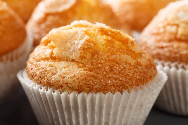 Macro Maddalene Con Zucchero Limone Tipici Muffin Spagnoli Nel Piatto — Foto Stock