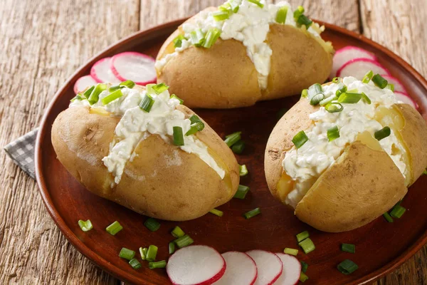 Delicious Potatoes Cottage Cheese Sour Cream Green Onions Close Plate — Foto de Stock
