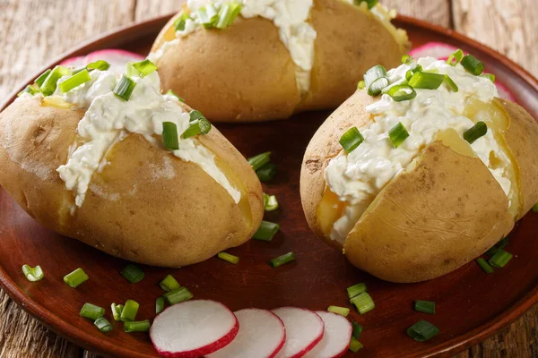 Ziemniaki Gotowanej Kurtki Nadziewane Serem Wiejskim Śmietaną Zieloną Cebulą Bliska — Zdjęcie stockowe