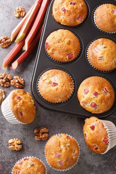 Muffins Recién Horneados Con Ruibarbo Nueces Cerca Plato Para Hornear — Foto de Stock