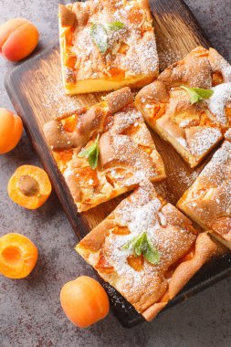 Prajitura cu caise, Romanya kaynaklı geleneksel bir kayısı pastası. Masanın üzerindeki tahta tahtaya yakın plan yapılmış. Yukarıdan dikey üst görünüm