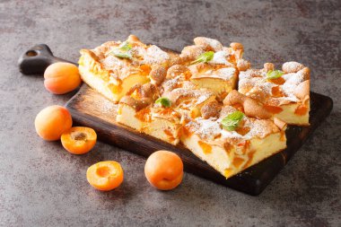 Kayısı ve pudra şekerli sünger keki masanın üzerindeki ahşap tahtaya yakın çekim. Yatay