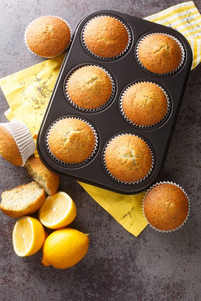 Leckere Muffins Mit Mohn Und Zitrone Nahaufnahme Einer Metall Muffinpfanne — Stockfoto