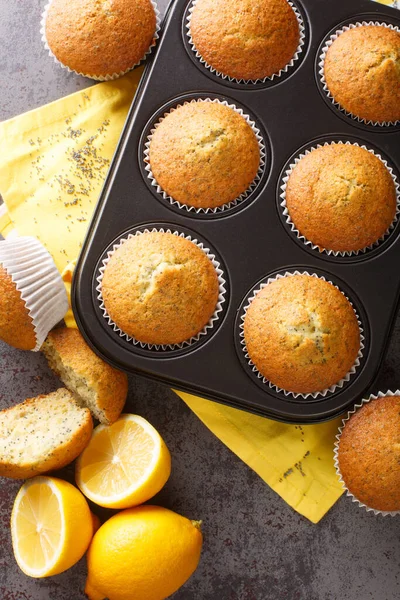Freshly Baked Muffins Poppy Seeds Lemon Close Baking Dish Table — Stock Photo, Image