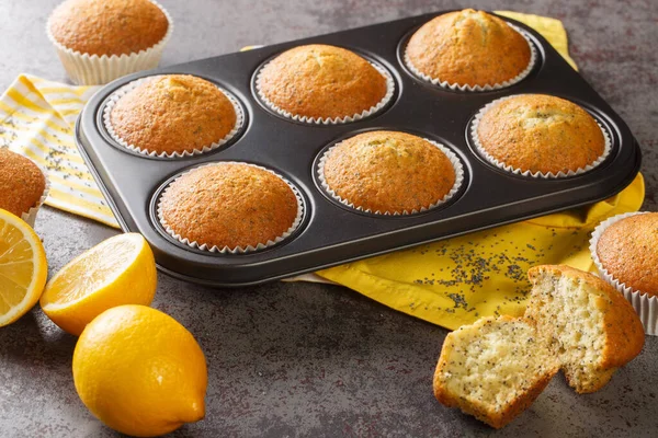 Masanın üzerinde haşhaş tohumlu ve limonlu ev yapımı yumuşak kekler var. yatay