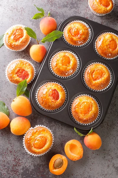 Muffins Mit Frischen Aprikosen Nahaufnahme Einer Muffinpfanne Auf Dem Tisch — Stockfoto