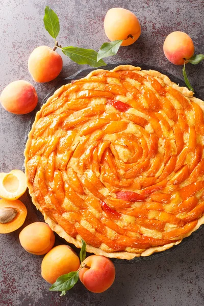 Frische Aprikosentorte Mit Mandelfrangipane Großaufnahme Auf Einer Schiefertafel Auf Dem — Stockfoto