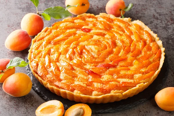 Hausgemachte Köstliche Aprikosentorte Mit Mandelcreme Großaufnahme Auf Einem Schiefertafel Auf — Stockfoto