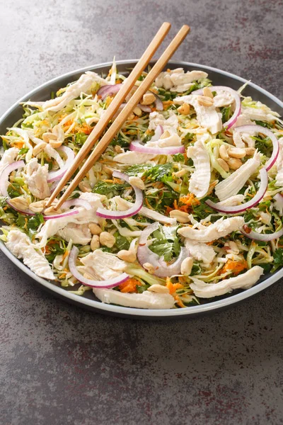 Goi Salad Shredded Chicken Cabbage Fresh Cilantro Mint Tossed Fish — Stockfoto