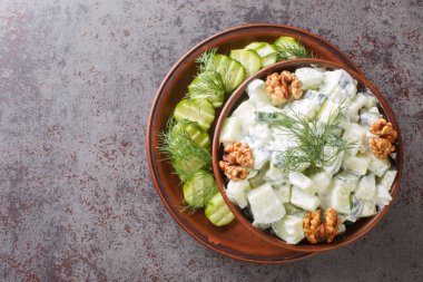 Salatalık, sarımsak, dereotlu ve cevizli salata. Yoğurtla tatlandırılmış. Masanın üstünde. Yukarıdan yatay üst görünüm