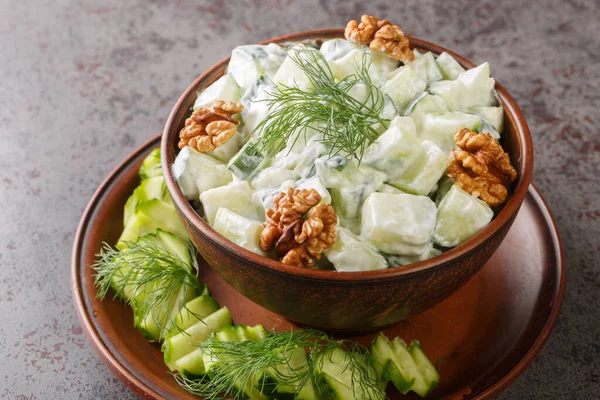 Summer Salad Cucumbers Garlic Dill Walnuts Seasoned Yogurt Close Bowl — Foto de Stock