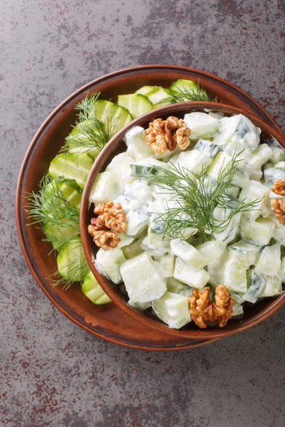 Snezhanka Snow White Refreshing Salad Made Ingredients Cucumbers Garlic Dill — Foto de Stock