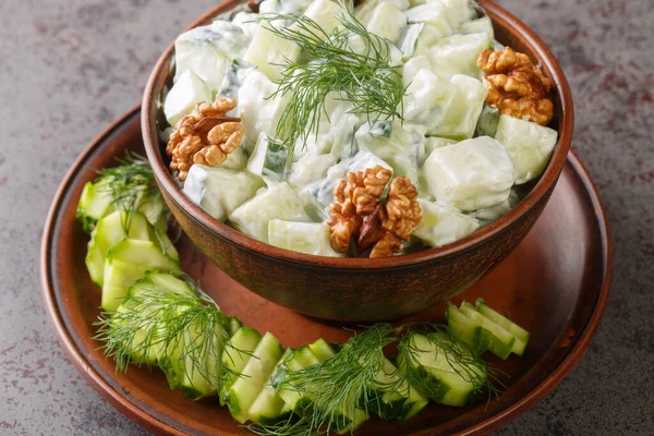 Salade Bulgare Concombre Yaourt Snezhanka Gros Plan Dans Bol Sur — Photo
