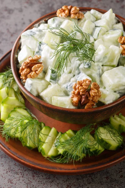 Bulgarian Salad Cucumbers Garlic Dill Walnuts Seasoned Yogurt Close Bowl — Foto de Stock