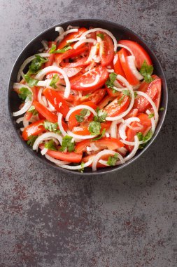 Yaz domates salatası soğanlı ve kişniş soslu zeytinyağı yakın planda bir tabakta. Yukarıdan dikey üst görünüm