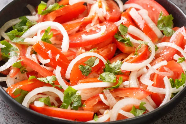 Delicious Homemade Tomato Salad Onion Cilantro Seasoned Olive Oil Close — Stock Photo, Image