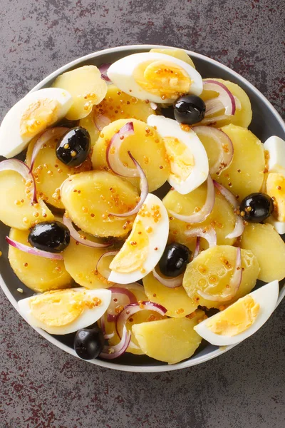 Oriental Salad Favorite Romanians Potato Salad Onions Olives Boiled Eggs — стокове фото