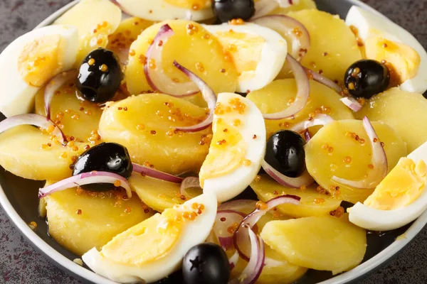 Romanian Oriental Potato Salad Onions Olives Boiled Eggs Close Plate — Stock fotografie