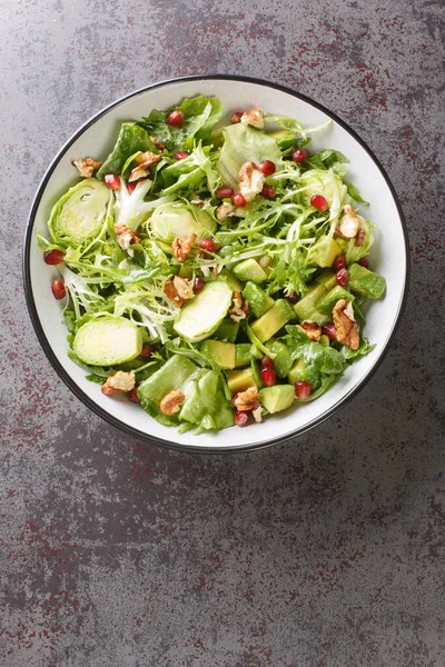 Salada Fresca Composta Por Brotos Bruxelas Abacate Repolho Alface Romã — Fotografia de Stock