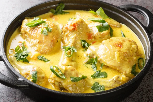 African Food Chicken Stew Coconut Sauce Spices Tomato Garlic Onion — Stock Photo, Image