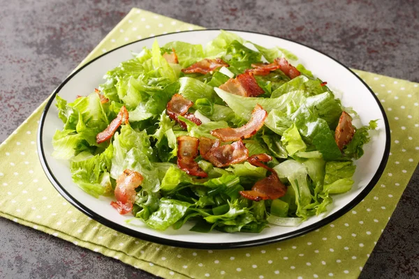 Zelfgemaakte Sla Salade Met Warme Spek Dressing Close Plaat Tafel — Stockfoto