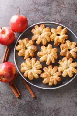 Hamur içinde pişirilmiş sonbahar elmaları masanın üzerinde yakın plan bir tabakta. Yukarıdan dikey üst görünüm