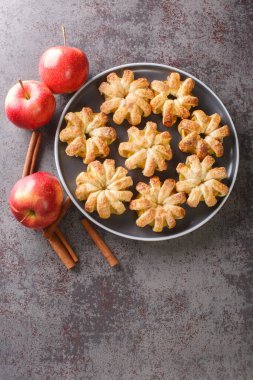 Elma halkaları puf böreğinde pişirilmiş şeker ve tarçın yakın plan bir kasede masanın üzerinde. Yukarıdan dikey üst görünüm