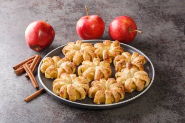 Tatlı çiçekli elma halka şeklinde puf böreği, şeker ve tarçınlı yakın plan bir tabakta masanın üzerinde. Yatay