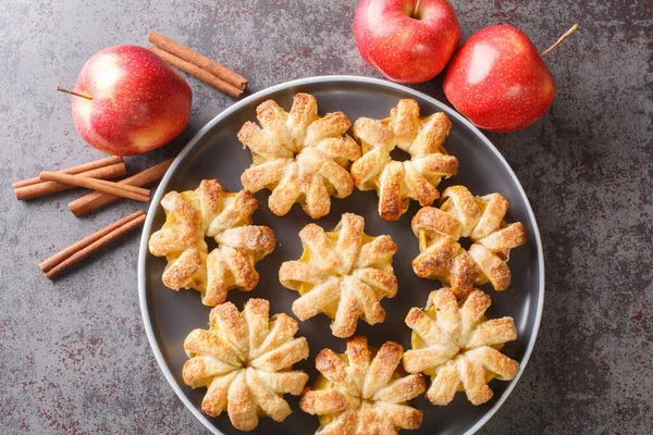 Tatlı çiçekli elma halka şeklinde puf böreği, şeker ve tarçınlı yakın plan bir tabakta masanın üzerinde. Yukarıdan yatay üst görünüm