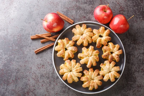 baked apples wrapped in puff pastry and sprinkled with sugar and cinnamon close-up in a plate on the table. horizontal top view from abov