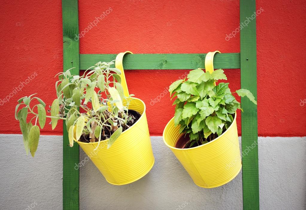Yellow vases Stock Photo by ©ValentinaPhotos 12404023