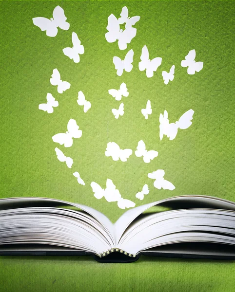 Libro aperto e farfalle — Foto Stock