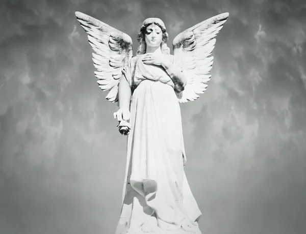 Angel in black and white — Stock Photo, Image