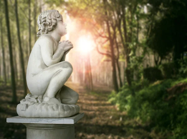 Cherub in a wood — Stock Photo, Image