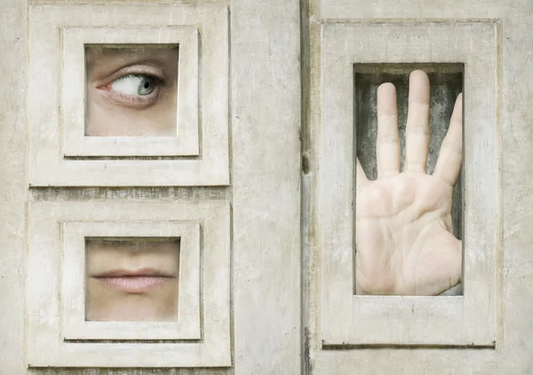 Let me out — Stockfoto