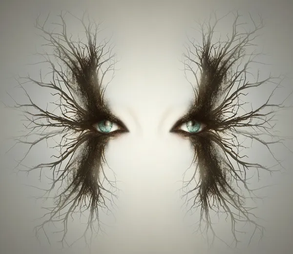 Sonsuzluğa doğru görüntüleme