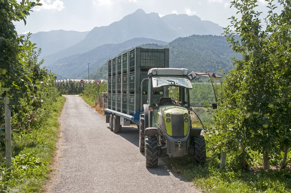 Tipica piccola auto per il trasporto delle mele — Foto Stock