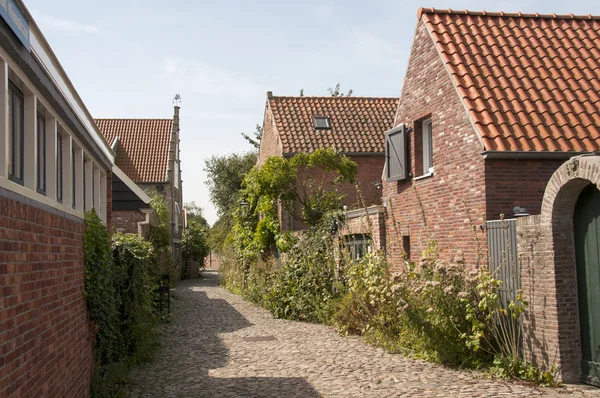 Casas antiguas y calle en Veere — Foto de Stock