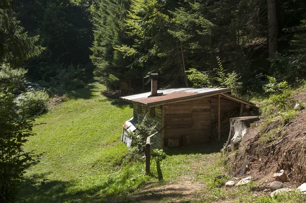 Trä koja i Italien skog — Stockfoto