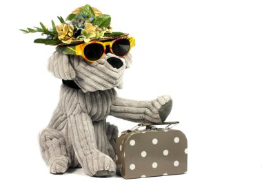 köpeği tatil