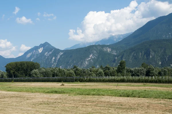 Trentino landscape north Italy — Stock Photo, Image