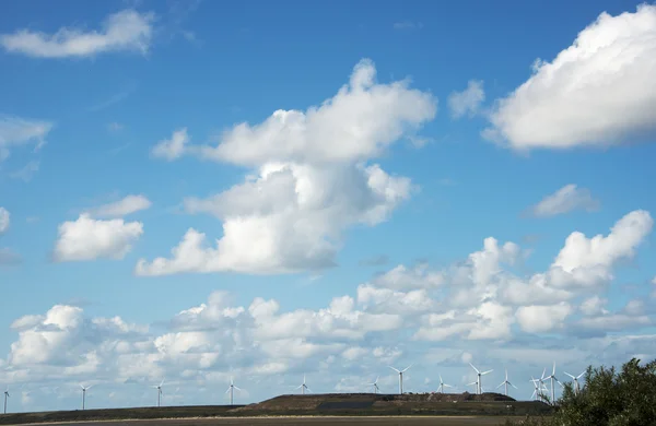 Paysage avec moulins à vent en Hollande — Photo